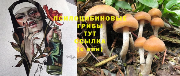 прущая мука Горняк