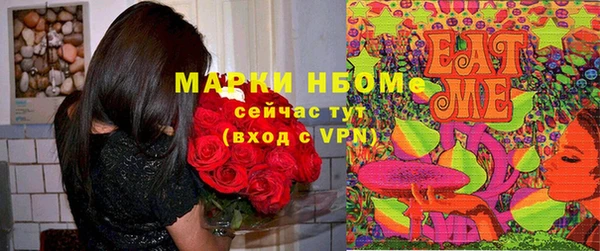 ГАЛЛЮЦИНОГЕННЫЕ ГРИБЫ Горно-Алтайск