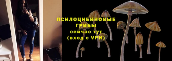 ALPHA PVP Прокопьевск