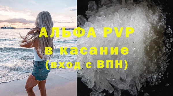 ГАЛЛЮЦИНОГЕННЫЕ ГРИБЫ Горно-Алтайск