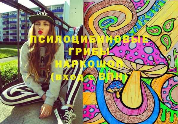шишки Абакан