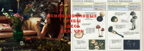 прущая мука Горняк