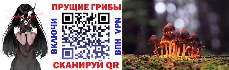 Галлюциногенные грибы MAGIC MUSHROOMS  Дубна 