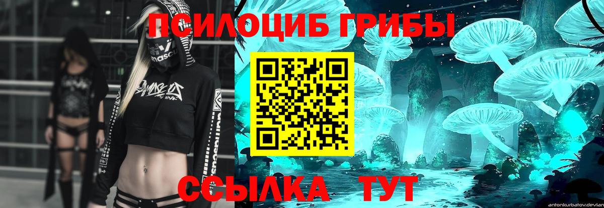 Галлюциногенные грибы Psilocybine cubensis  Вход с VPN  Дубна 