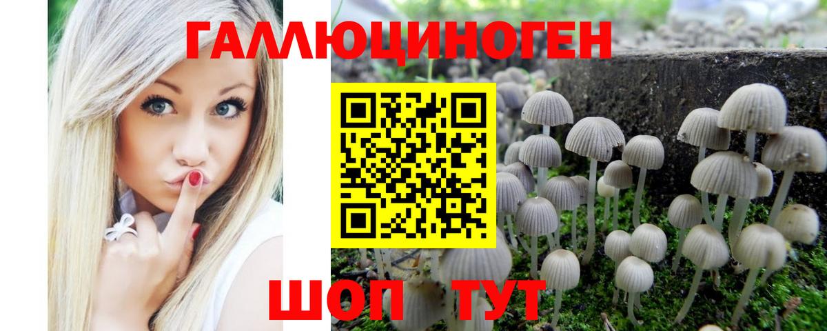 Псилоцибиновые грибы мухоморы Дубна