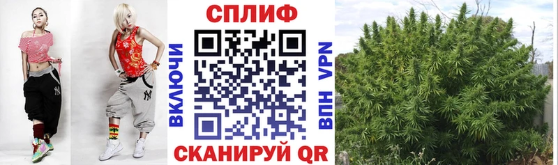 купить  сайты  Дубна  МАРИХУАНА THC 21% 
