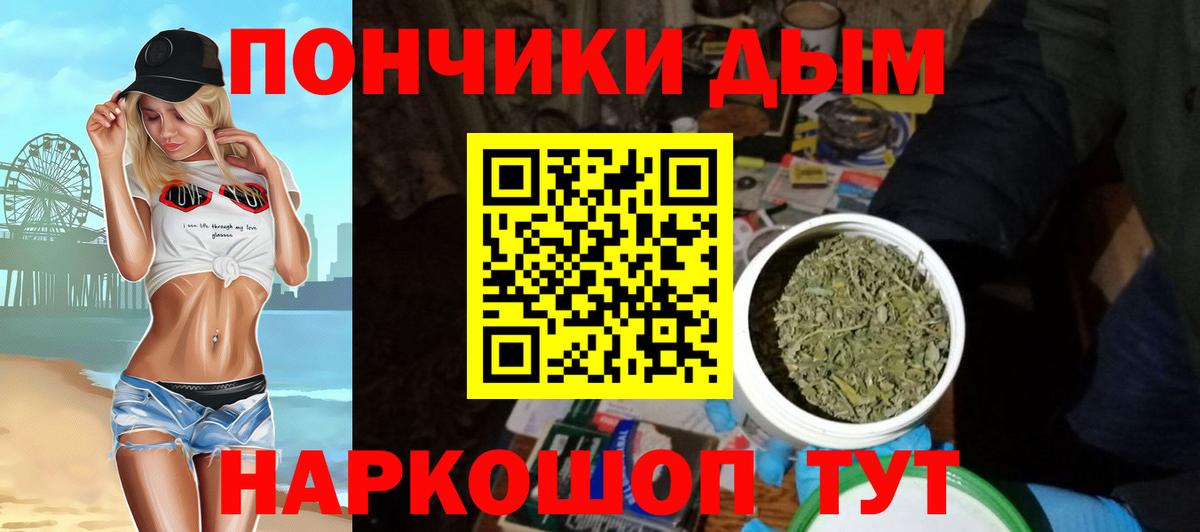 Бошки Шишки планчик Дубна
